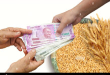 जम्मू-कश्मीर के धान किसानों के लिए बड़ी खुशखबरी: MSP पर खरीद, 72 घंटे में खाते में आएगा पैसा