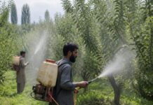 Apple Orchards, Unequal Sprays: Kashmir’s Pesticide Burden Far Outstrips Himachal and Uttarakhand