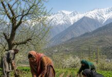 Pesticides in Mothers’ Milk: J&K Cannot Afford to Look Away